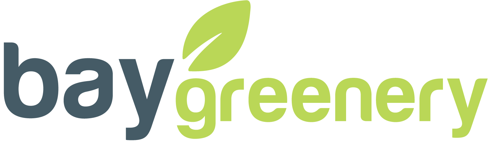 Bay Greenery